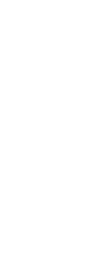 home-section2-vector-2